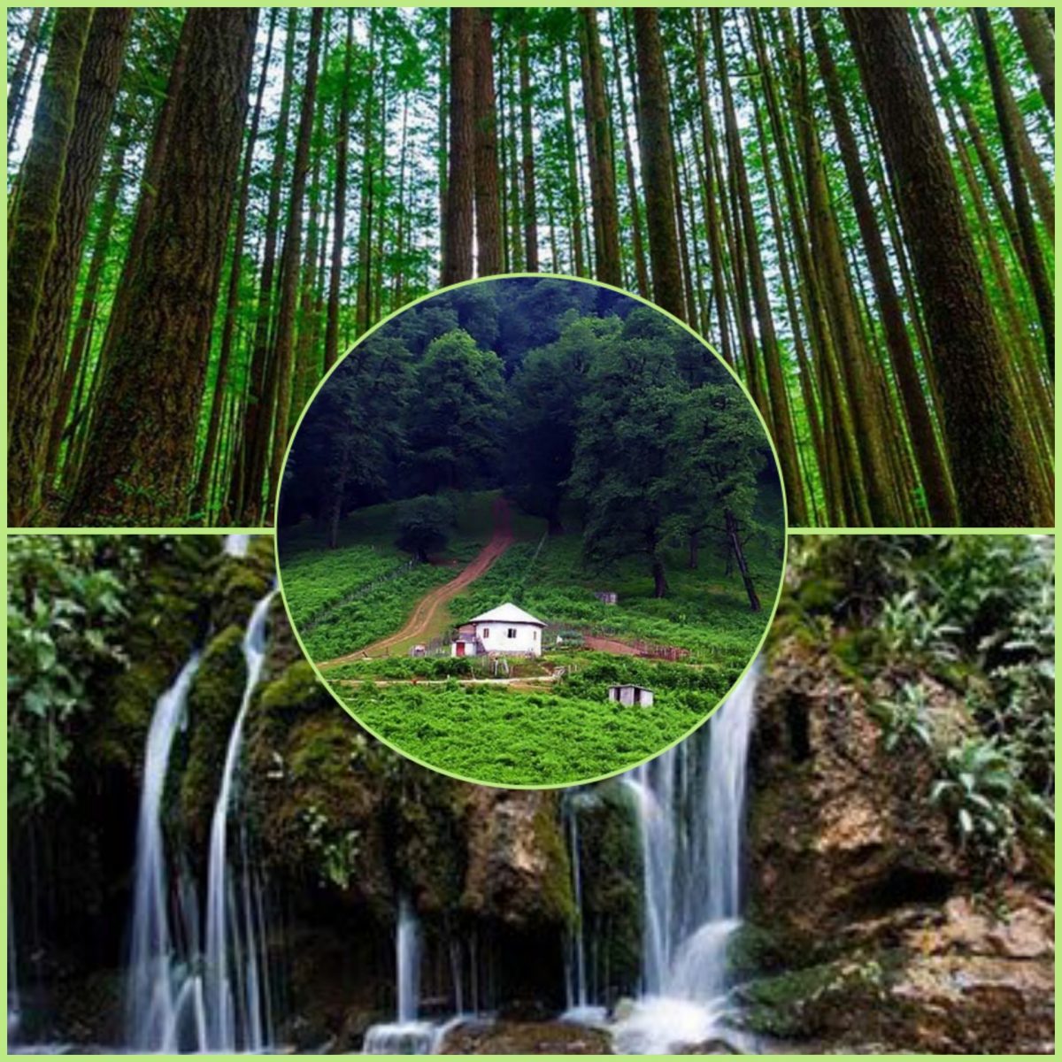 [تصویر:  FotoCollage_2022827203794-1200x1200.jpg]